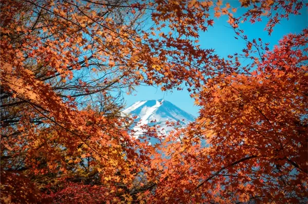 去日本賞楓!紅葉景點五選!