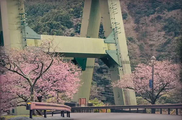 山與海的美麗之角:伊豆半島~河津七滝與Loop橋
